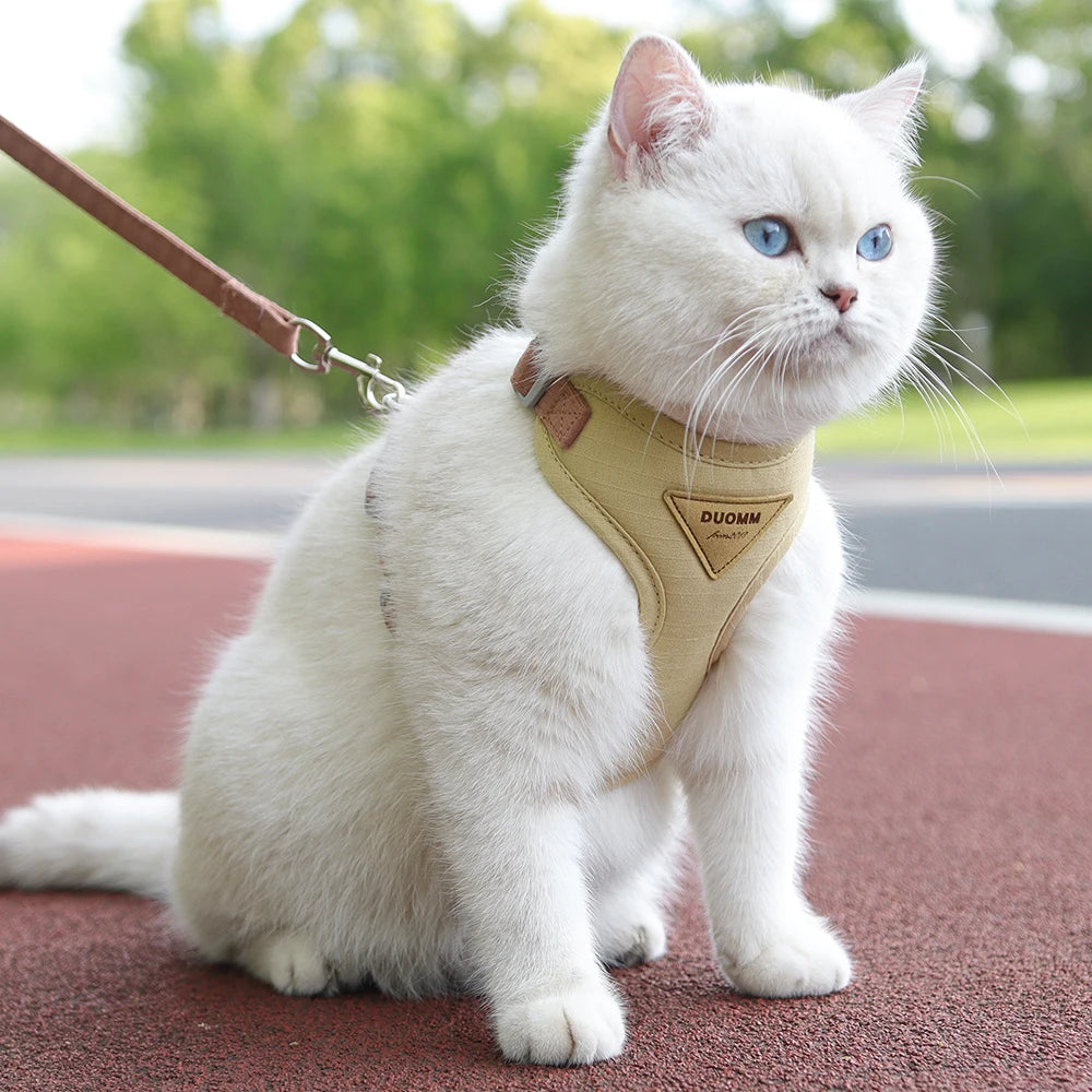 Cat wearing the beige padded harness and leash