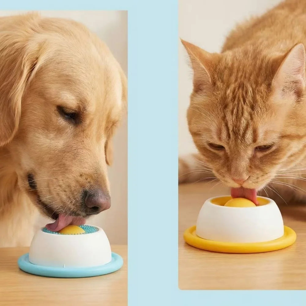 Dog and cat using aqua and orange lick feeders