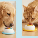 Dog and cat using aqua and orange lick feeders