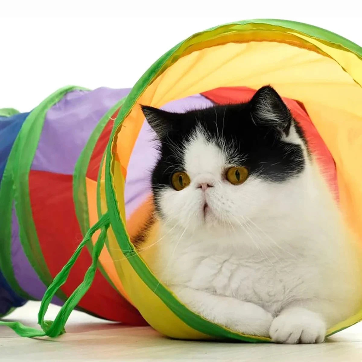 Folded multicolor cat tunnel for compact storage