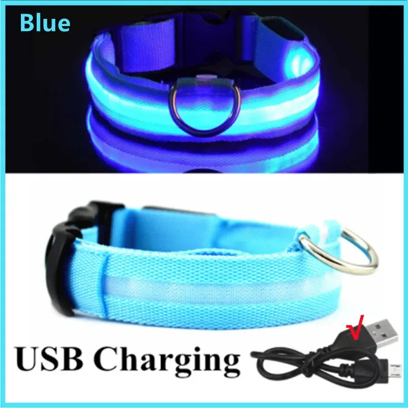 Blue USB-Rechargeable Light-Up Dog Collar