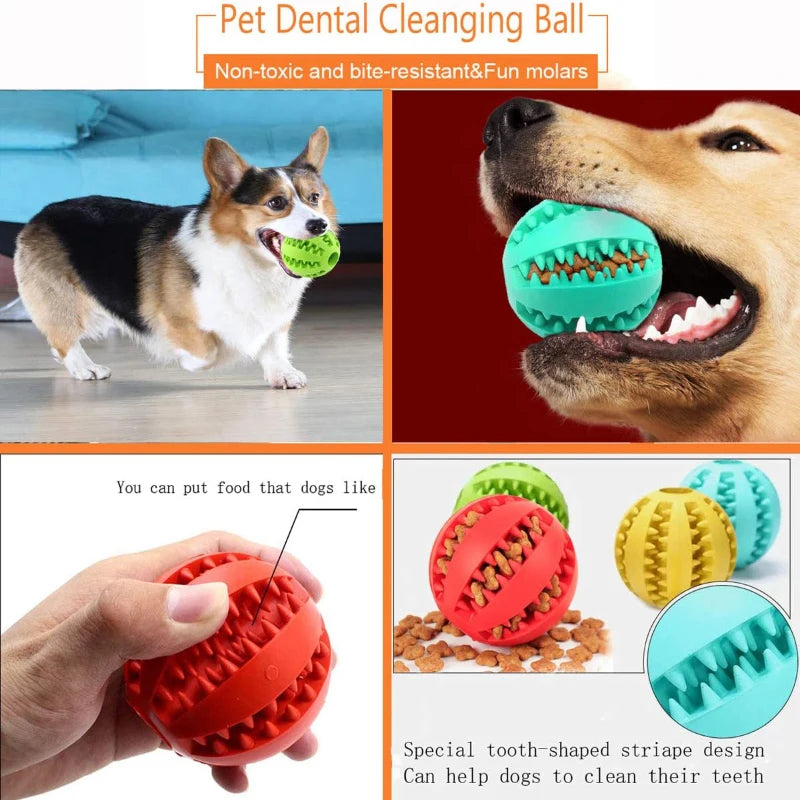 Dog playing with a yellow rubber treat ball