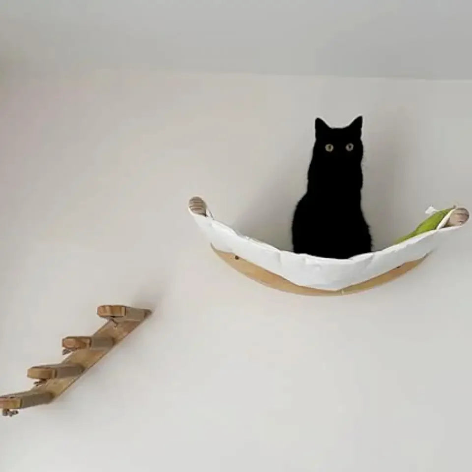 Cat resting in a cream wall hammock above steps