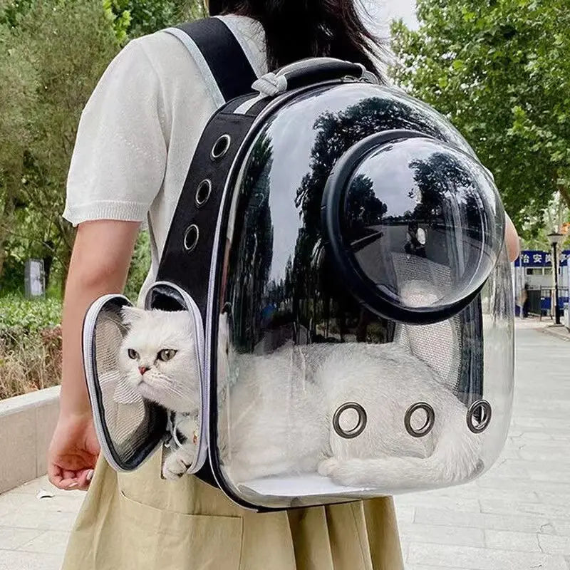 Black panoramic pet carrier backpack worn outdoors
