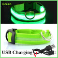 Green USB-Rechargeable Light-Up Dog Collar
