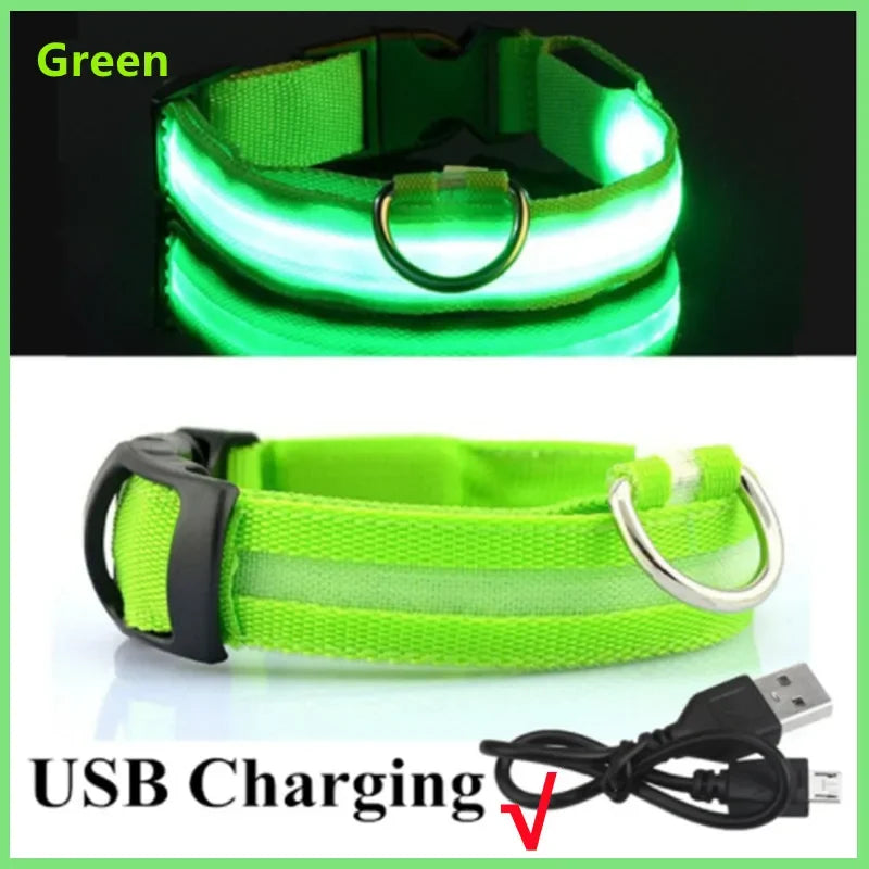Green USB-Rechargeable Light-Up Dog Collar
