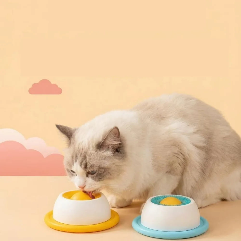 Aqua and orange lick feeders shown with a cat