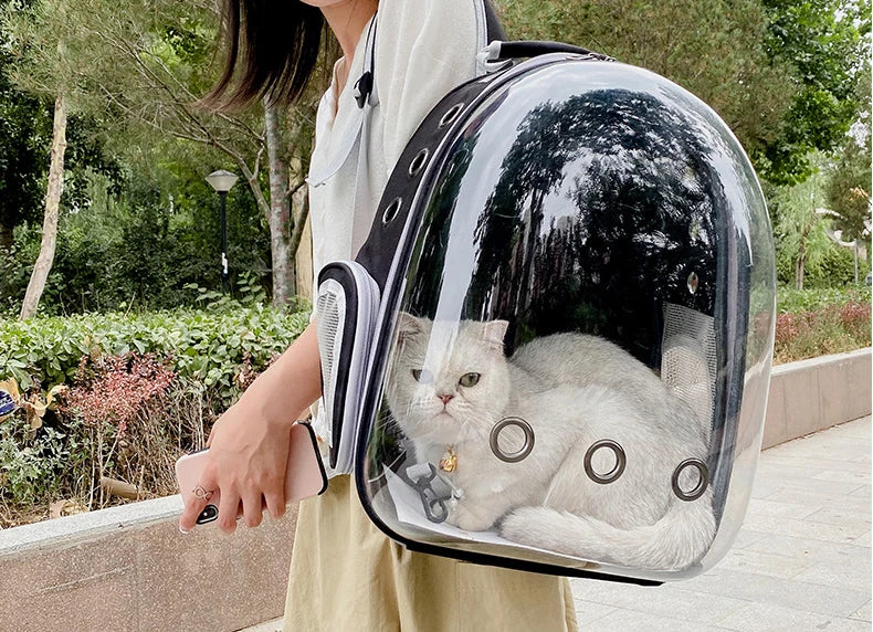 Panoramic Pet Carrier Backpack