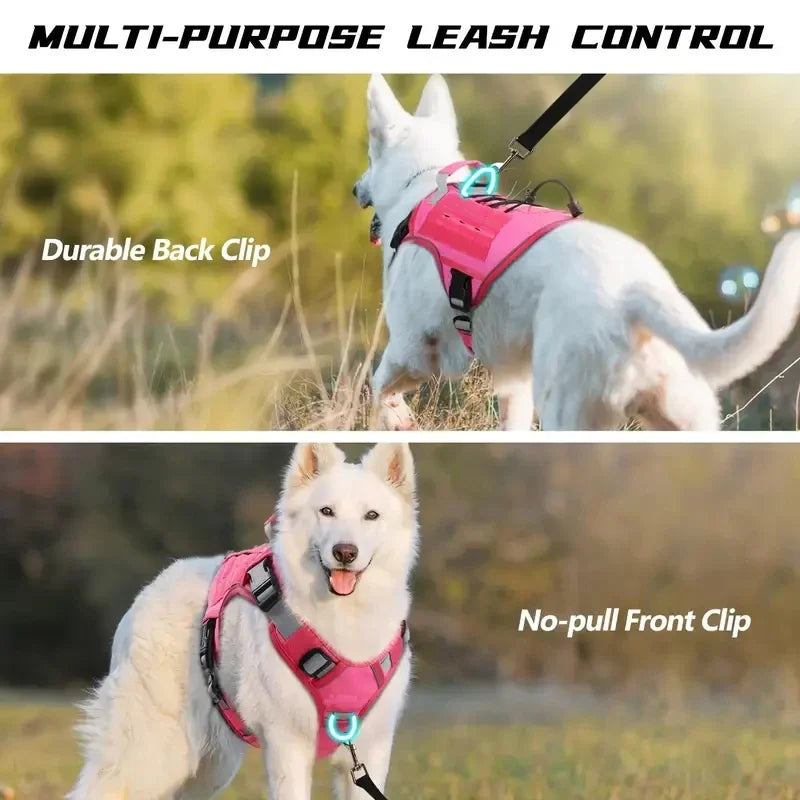 Front and back leash attachment points in use
