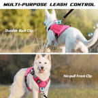 Front and back leash attachment points in use