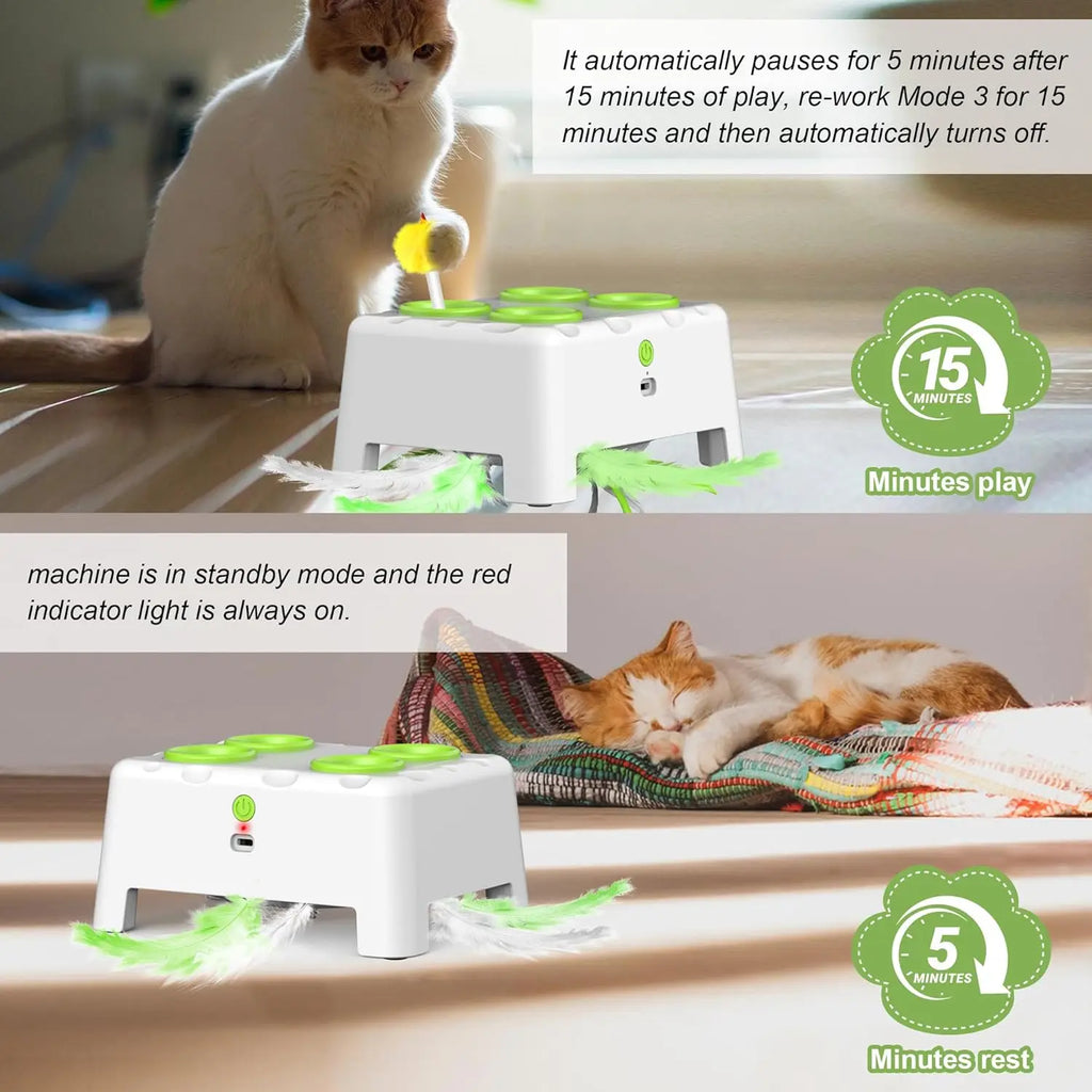 Rechargeable Pop-Up Cat Play Station