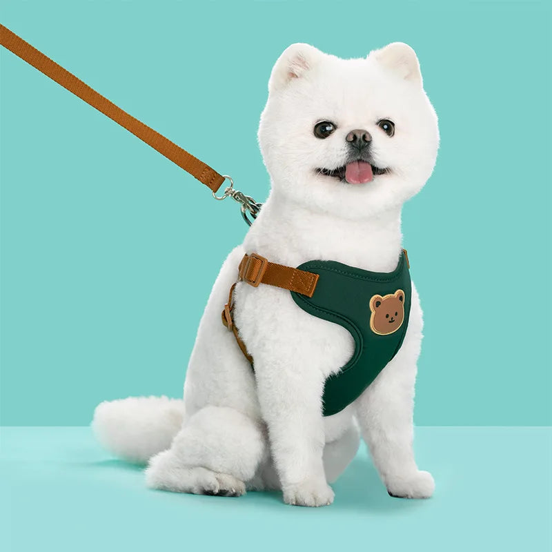 Green bear-detail harness on a small dog