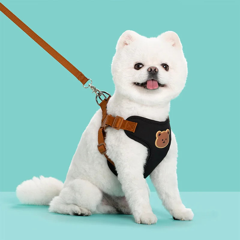 Black bear-detail harness on a white cat
