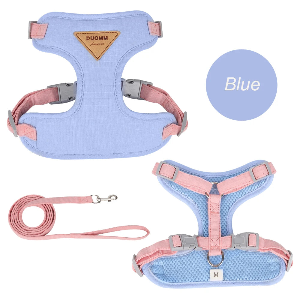 Blue harness and matching leash on white