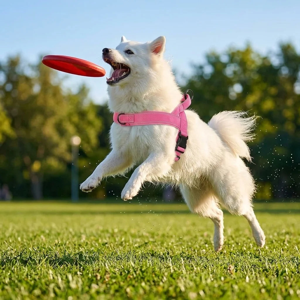 Reflective No-Pull Dog Harness with Handle