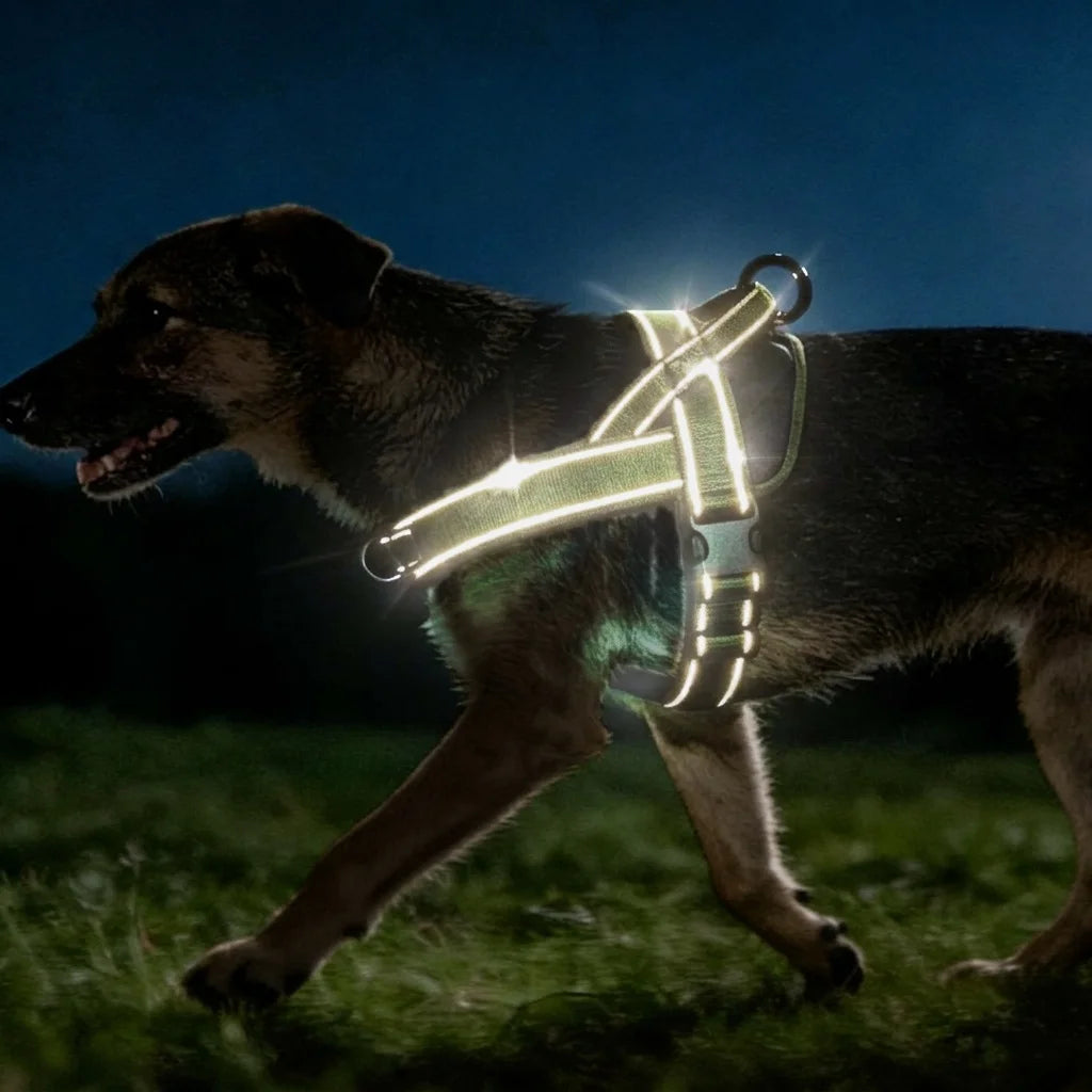 Reflective No-Pull Dog Harness with Handle