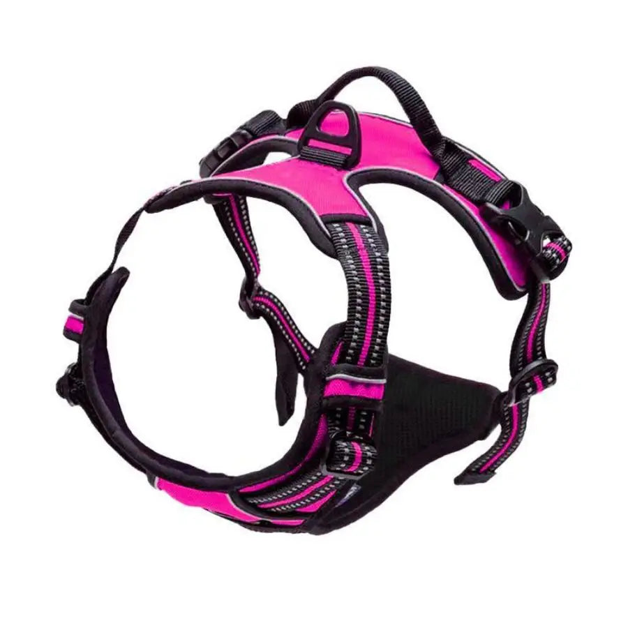 Fuchsia reflective dual-clip dog harness