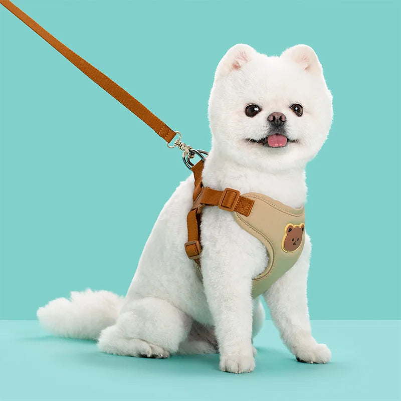 Beige bear-detail harness on a small dog