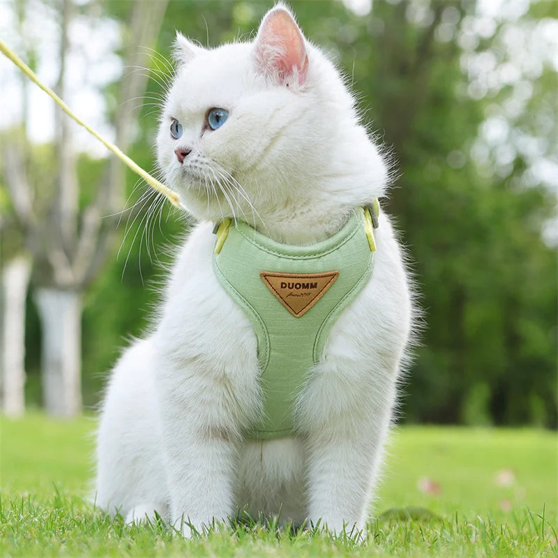 Cat wearing the green padded harness