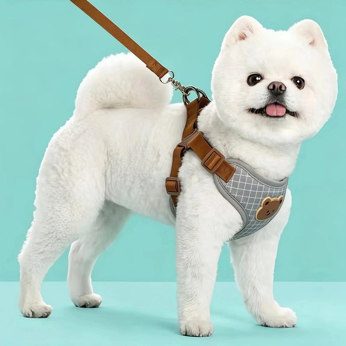 Plaid gray harness on a small dog