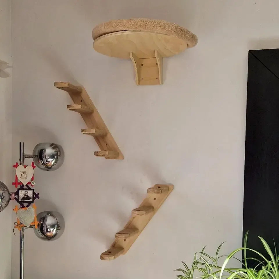 Round bed, ladder and platforms arranged on a cat wall