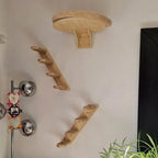 Round bed, ladder and platforms arranged on a cat wall