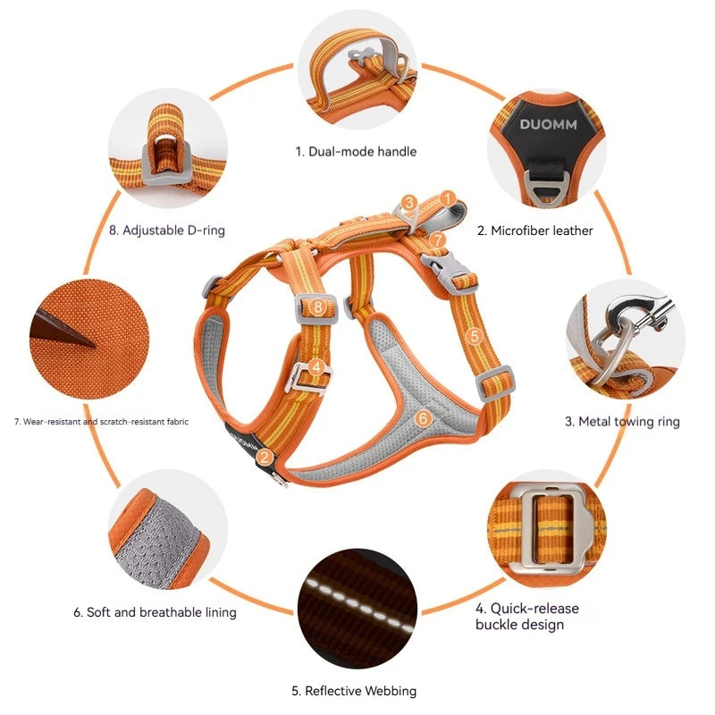 Adjustable Y-front harness construction