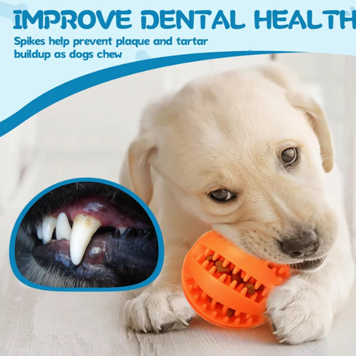 Textured Treat-Dispensing Dog Ball