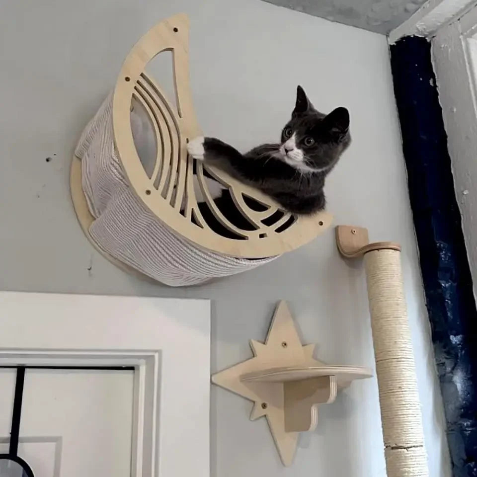 Moon hammock and star shelf installed as cat wall furniture