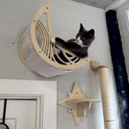 Moon hammock and star shelf installed as cat wall furniture