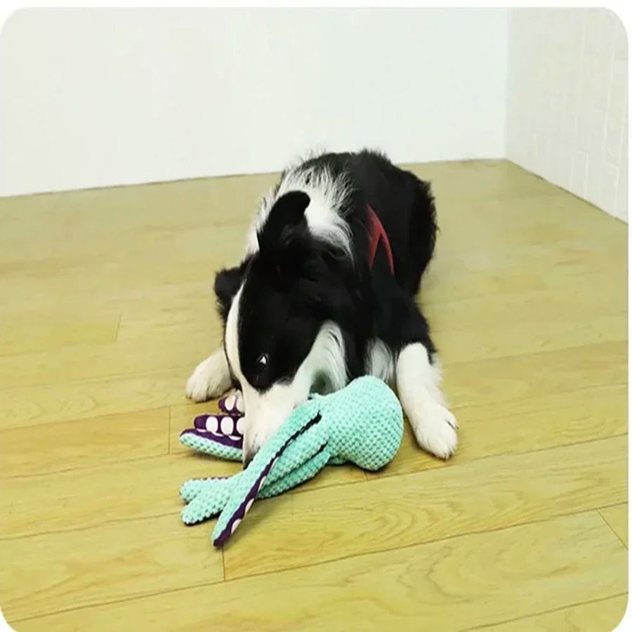 Textured Octopus Dog Toy