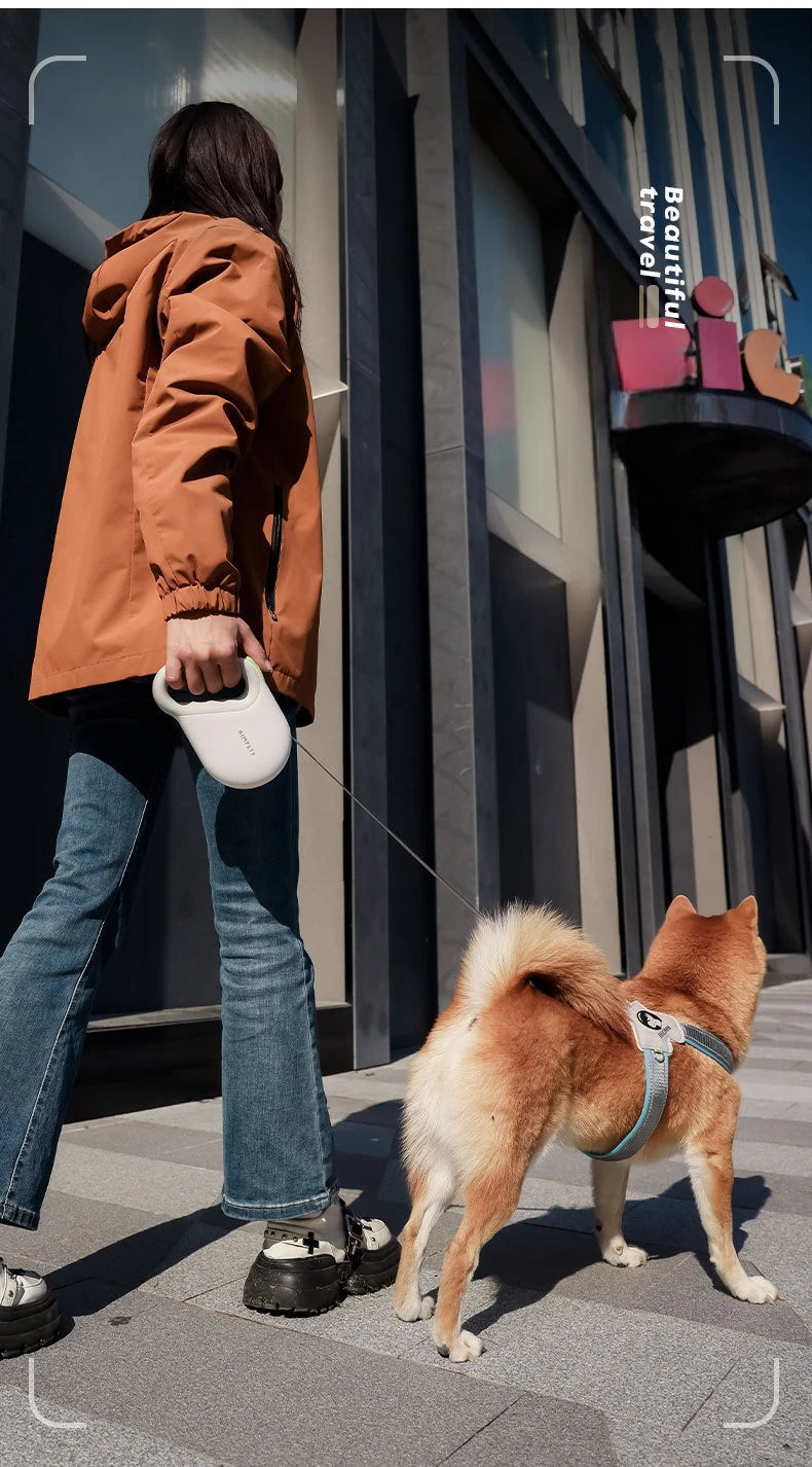 KIMPET™ Striped Tape Retractable Dog Leash