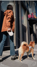 KIMPET™ Striped Tape Retractable Dog Leash
