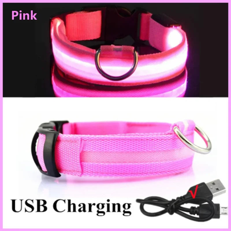 Pink USB-Rechargeable Light-Up Dog Collar