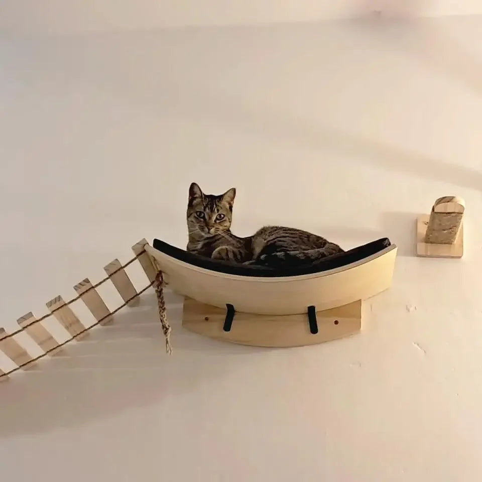 Moon-shaped cat hammock installed beside wall steps