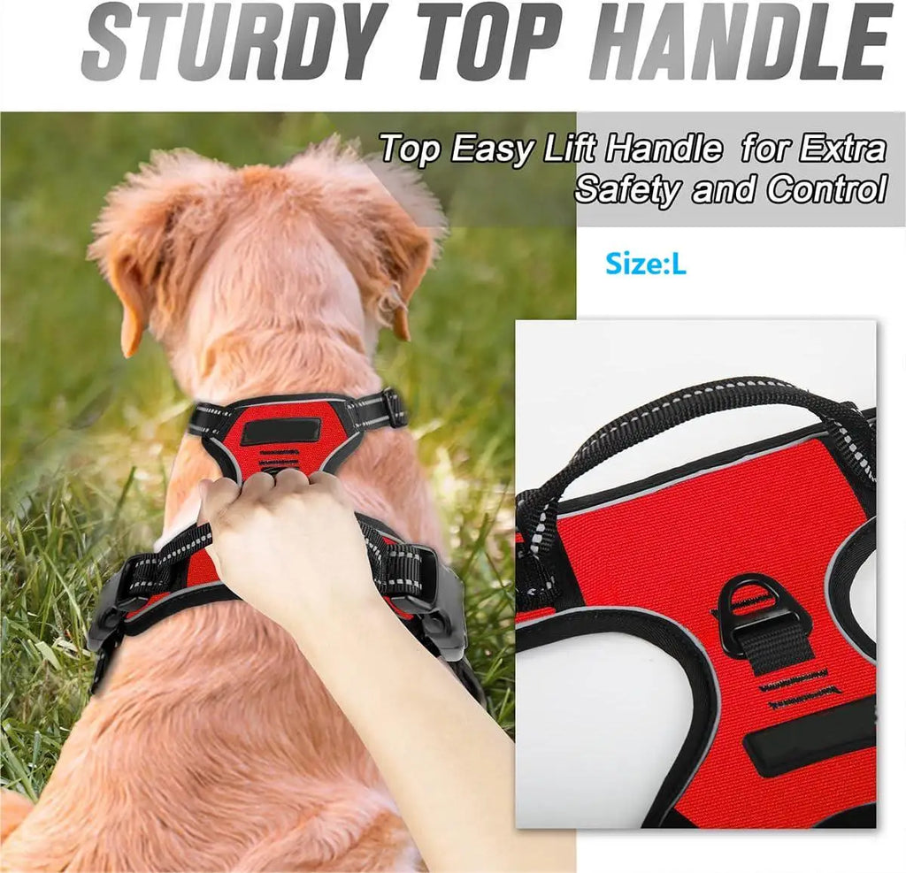 Top handle detail on a red dog harness