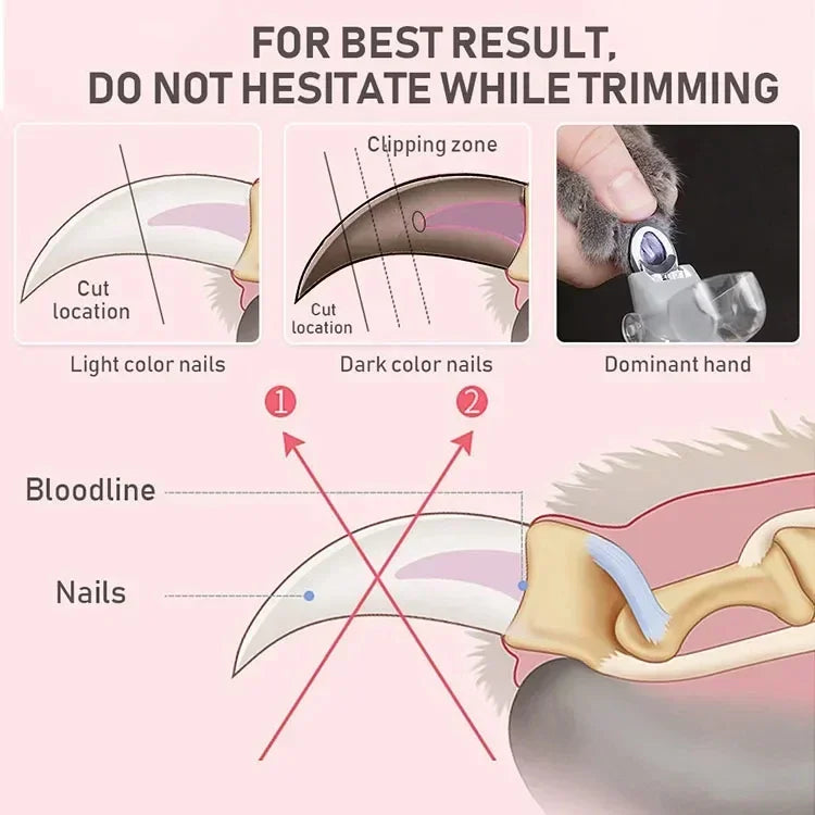 Cutting-zone diagram for light and dark pet nails