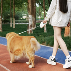 Three-Position Brake Retractable Dog Leash