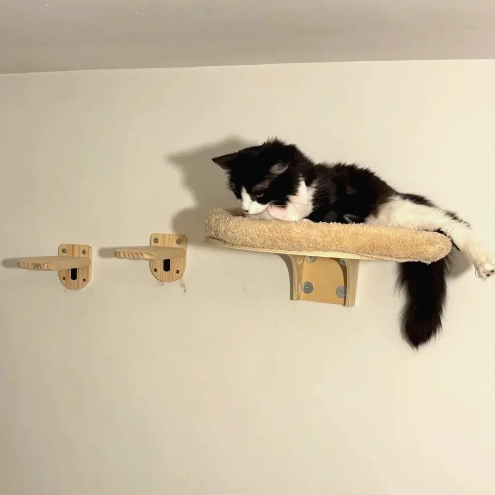Cat resting on a round wall-mounted bed