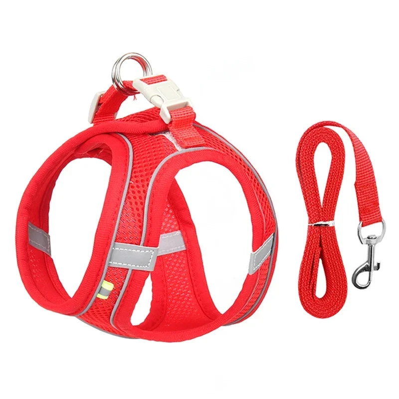 Reflective Mesh Harness & Leash Set — product view 9