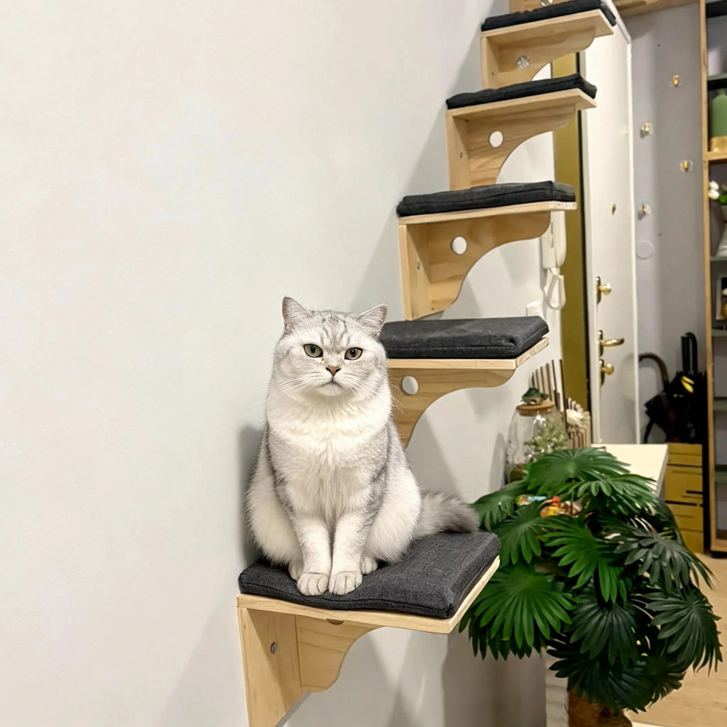 Wall-mounted cat steps and carpeted platforms installed in a room