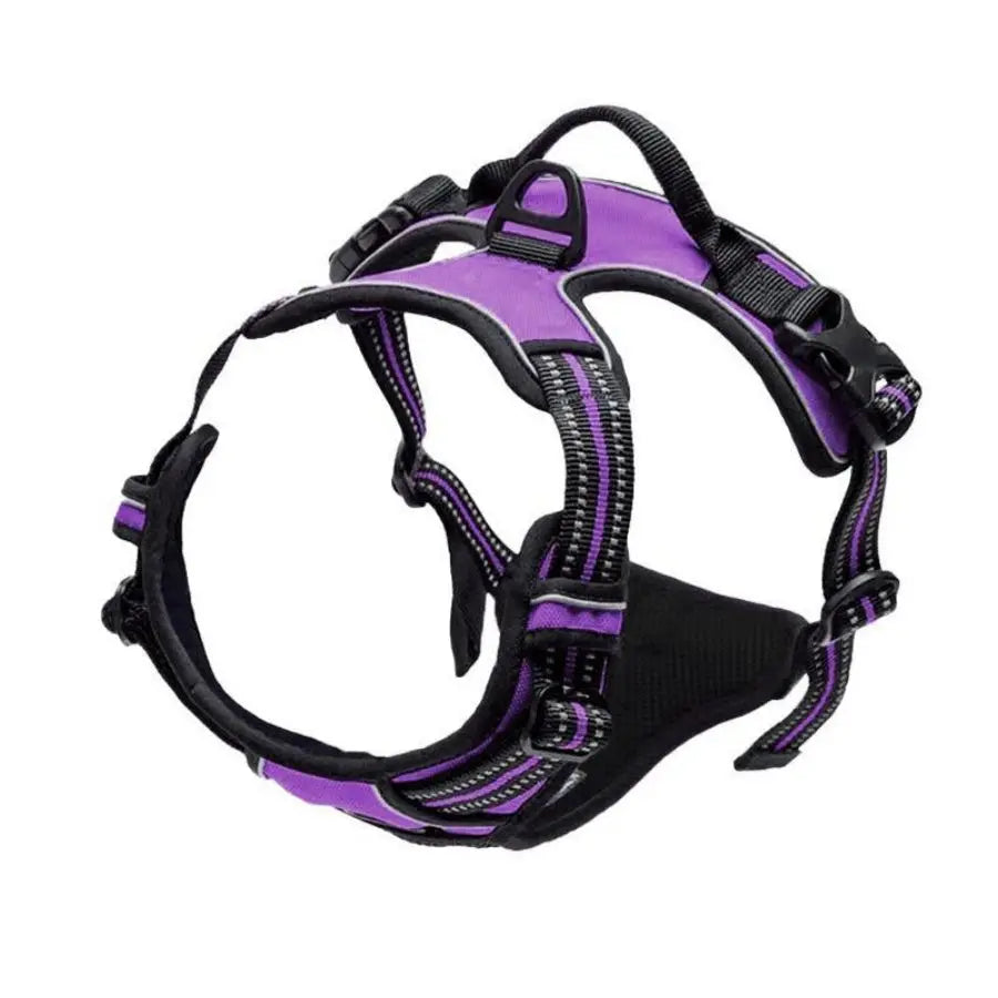 Purple reflective dual-clip dog harness
