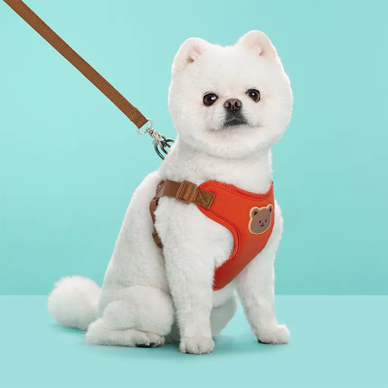 Red mesh harness on a white cat
