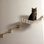 Cream wall hammock reached by three cat steps