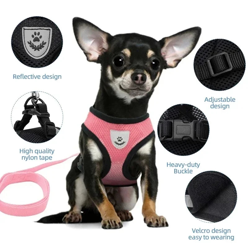Black mesh pet harness feature overview