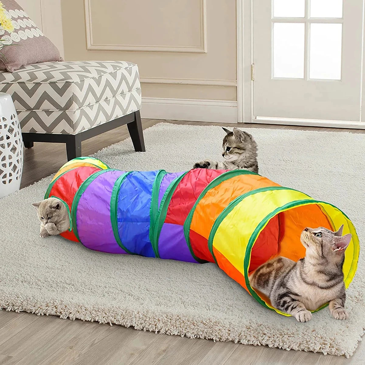 Cat playing through a multicolor foldable tunnel