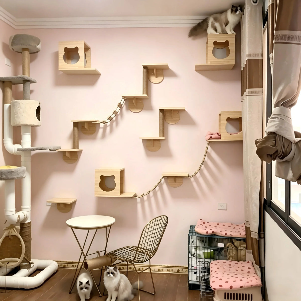 Natural Wood Cat Wall Furniture