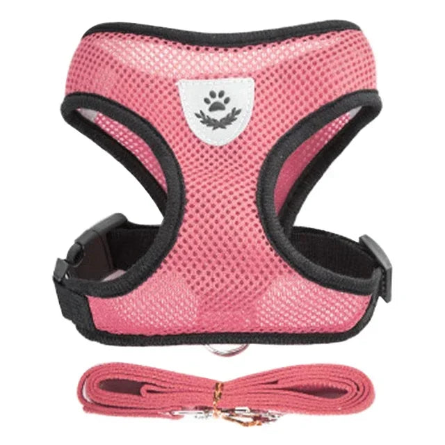 Pink mesh harness and matching leash