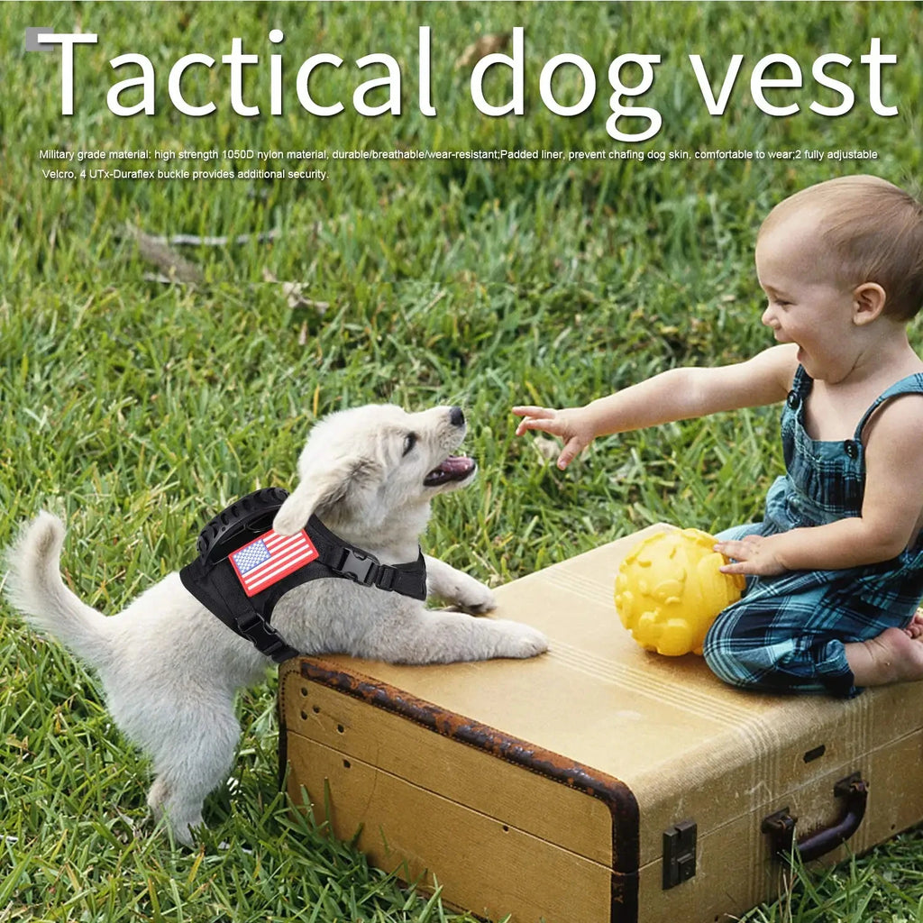 Tactical Small-Pet Harness & Leash Set — product view 5