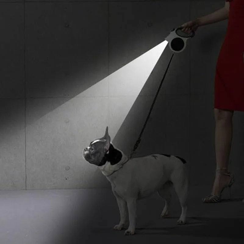 Lighted 16 ft Retractable Dog Leash